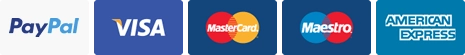 PayPal, Visa, Mastercard, Maestro, American Express
